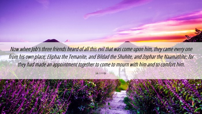 Picture 06 - Job 2:11 KJV Desktop Wallpaper - Now when Job's three friends heard of all this - Desktop Bible Verse Wallpaper