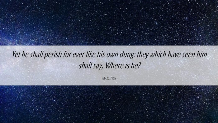 Picture 06 - Job 20:7 KJV Desktop Wallpaper - Yet he shall perish for ever like his own dung: - Desktop Bible Verse Wallpaper