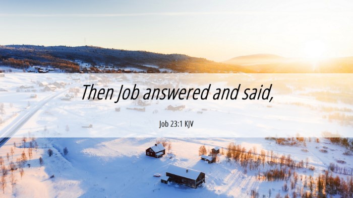 Picture 06 - Job 23:1 KJV Desktop Wallpaper - Then Job answered and - Desktop Bible Verse Wallpaper