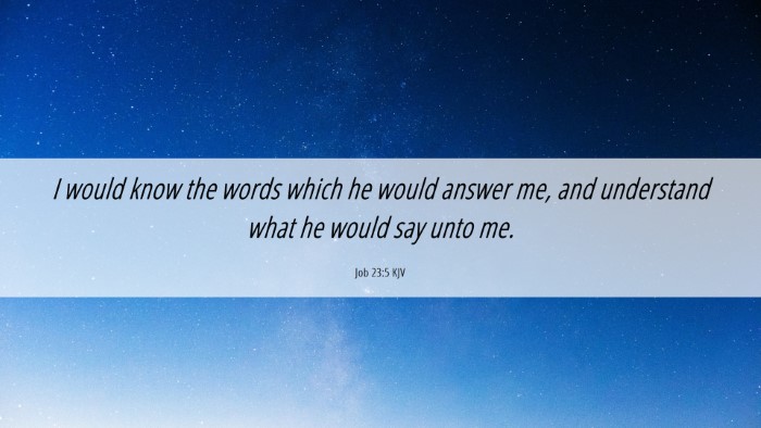 Picture 06 - Job 23:5 KJV Desktop Wallpaper - I would know the words which he would answer me, - Desktop Bible Verse Wallpaper