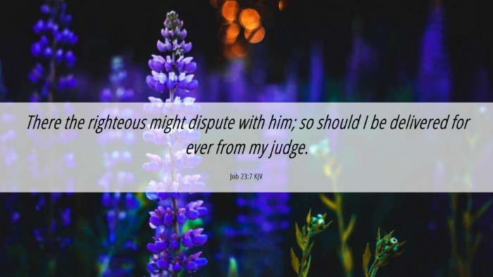 Picture 06 - Job 23:7 KJV Desktop Wallpaper - There the righteous might dispute with him; so - Desktop Bible Verse Wallpaper