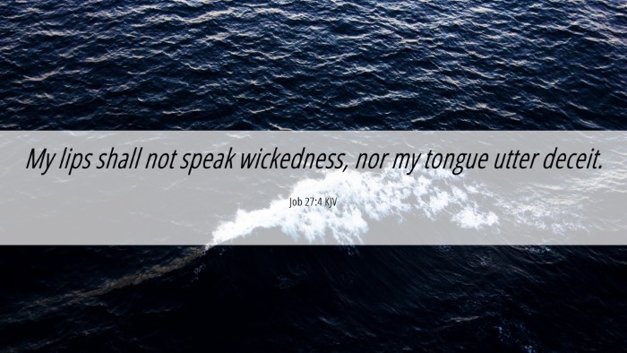 Picture 06 - Job 27:4 KJV Desktop Wallpaper - My lips shall not speak wickedness, nor my tongue - Desktop Bible Verse Wallpaper