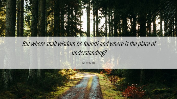 Picture 06 - Job 28:12 KJV Desktop Wallpaper - But where shall wisdom be found? and where is the - Desktop Bible Verse Wallpaper