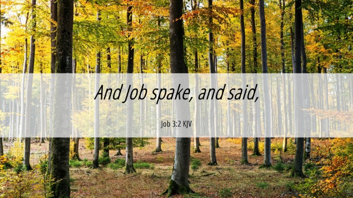 Picture 06 - Job 3:2 KJV Desktop Wallpaper - And Job spake, and - Desktop Bible Verse Wallpaper