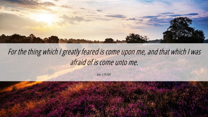 Picture 06 - Job 3:25 KJV Desktop Wallpaper - For the thing which I greatly feared is come upon - Desktop Bible Verse Wallpaper