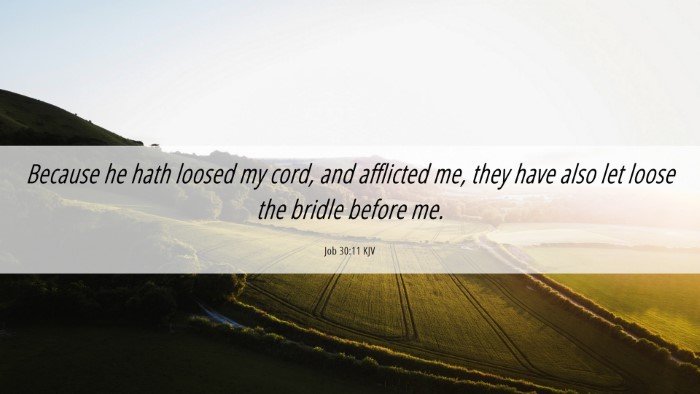 Picture 06 - Job 30:11 KJV Desktop Wallpaper - Because he hath loosed my cord, and afflicted me, - Desktop Bible Verse Wallpaper