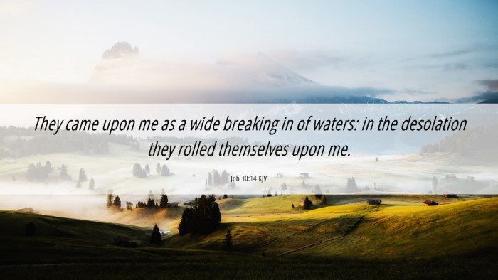 Picture 06 - Job 30:14 KJV Desktop Wallpaper - They came upon me as a wide breaking in of - Desktop Bible Verse Wallpaper