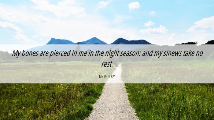 Picture 06 - Job 30:17 KJV Desktop Wallpaper - My bones are pierced in me in the night season: - Desktop Bible Verse Wallpaper