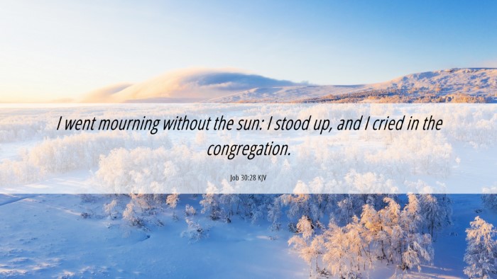 Picture 06 - Job 30:28 KJV Desktop Wallpaper - I went mourning without the sun: I stood up, and - Desktop Bible Verse Wallpaper