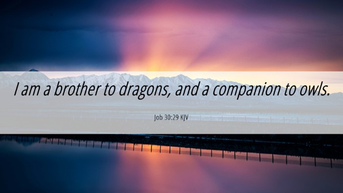 Picture 06 - Job 30:29 KJV Desktop Wallpaper - I am a brother to dragons, and a companion to - Desktop Bible Verse Wallpaper