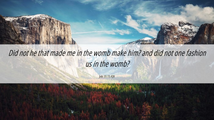 Picture 06 - Job 31:15 KJV Desktop Wallpaper - Did not he that made me in the womb make him? and - Desktop Bible Verse Wallpaper
