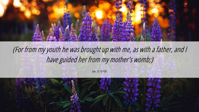 Picture 06 - Job 31:18 KJV Desktop Wallpaper - (For from my youth he was brought up with me, as - Desktop Bible Verse Wallpaper