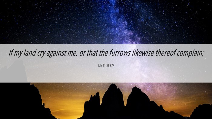 Picture 06 - Job 31:38 KJV Desktop Wallpaper - If my land cry against me, or that the furrows - Desktop Bible Verse Wallpaper