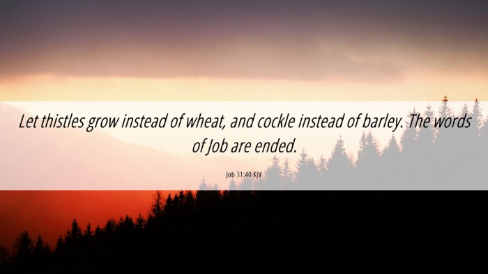Picture 06 - Job 31:40 KJV Desktop Wallpaper - Let thistles grow instead of wheat, and cockle - Desktop Bible Verse Wallpaper