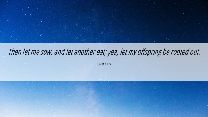 Picture 06 - Job 31:8 KJV Desktop Wallpaper - Then let me sow, and let another eat; yea, let my - Desktop Bible Verse Wallpaper
