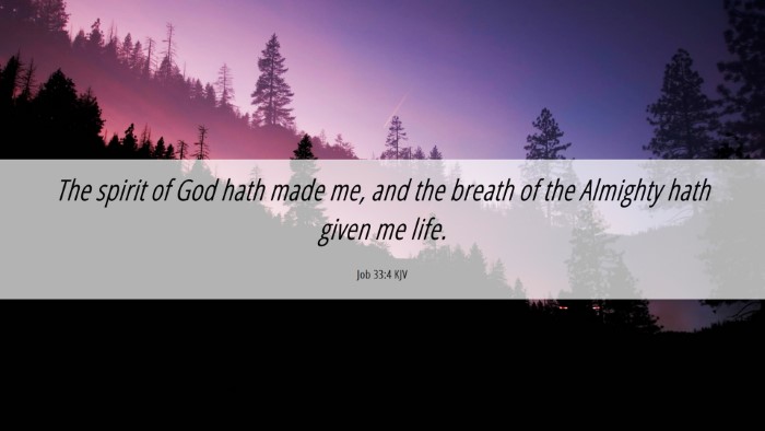 Picture 06 - Job 33:4 KJV Desktop Wallpaper - The spirit of God hath made me, and the breath of - Desktop Bible Verse Wallpaper