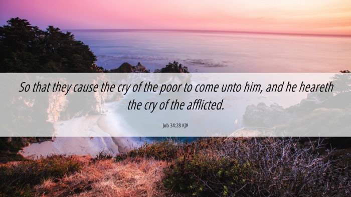 Picture 06 - Job 34:28 KJV Desktop Wallpaper - So that they cause the cry of the poor to come - Desktop Bible Verse Wallpaper