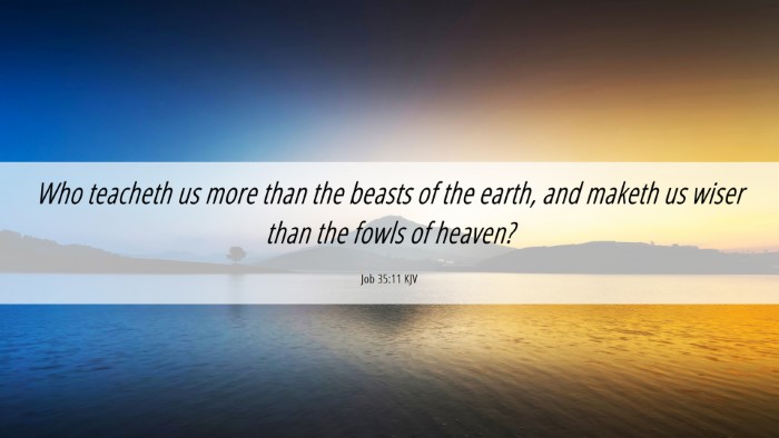 Picture 06 - Job 35:11 KJV Desktop Wallpaper - Who teacheth us more than the beasts of the - Desktop Bible Verse Wallpaper