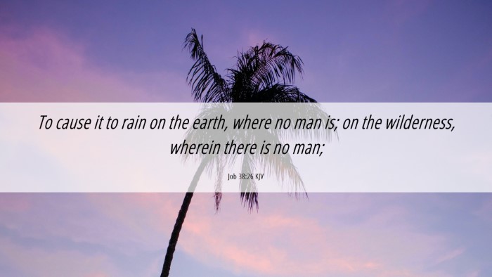Picture 06 - Job 38:26 KJV Desktop Wallpaper - To cause it to rain on the earth, where no man - Desktop Bible Verse Wallpaper