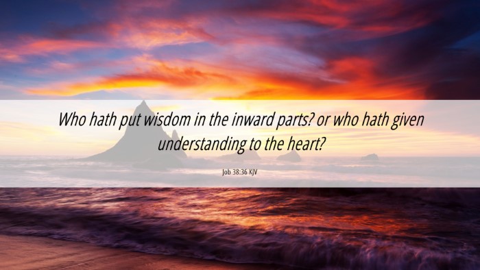 Picture 06 - Job 38:36 KJV Desktop Wallpaper - Who hath put wisdom in the inward parts? or who - Desktop Bible Verse Wallpaper