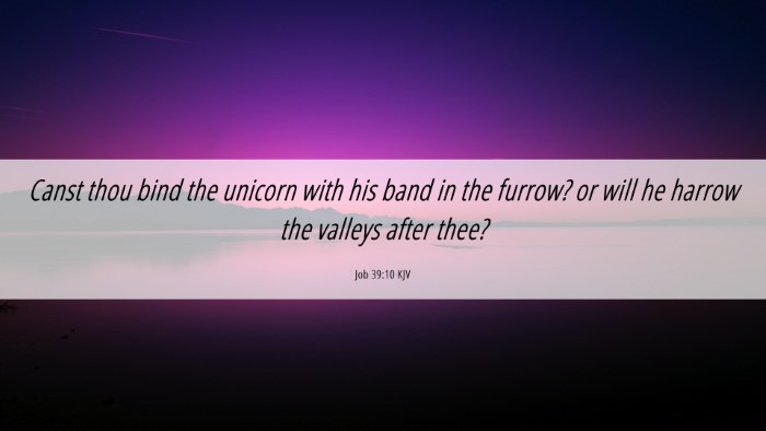 Picture 06 - Job 39:10 KJV Desktop Wallpaper - Canst thou bind the unicorn with his band in the - Desktop Bible Verse Wallpaper