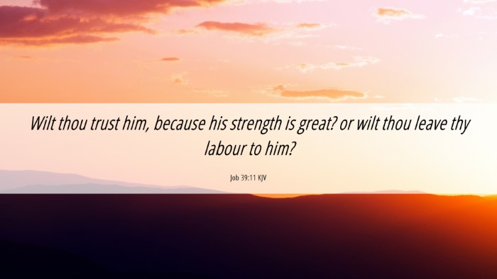 Picture 06 - Job 39:11 KJV Desktop Wallpaper - Wilt thou trust him, because his strength is - Desktop Bible Verse Wallpaper