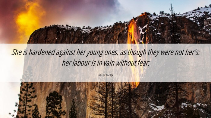 Picture 06 - Job 39:16 KJV Desktop Wallpaper - She is hardened against her young ones, as though - Desktop Bible Verse Wallpaper
