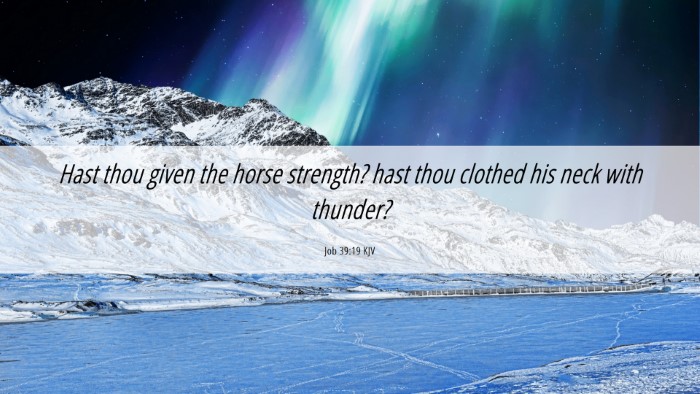 Picture 06 - Job 39:19 KJV Desktop Wallpaper - Hast thou given the horse strength? hast thou - Desktop Bible Verse Wallpaper