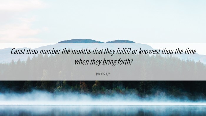 Picture 06 - Job 39:2 KJV Desktop Wallpaper - Canst thou number the months that they fulfil? or - Desktop Bible Verse Wallpaper