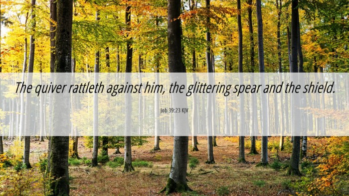 Picture 06 - Job 39:23 KJV Desktop Wallpaper - The quiver rattleth against him, the glittering - Desktop Bible Verse Wallpaper