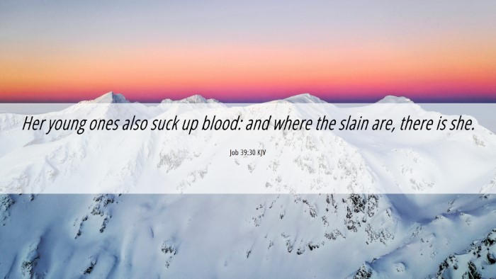 Picture 06 - Job 39:30 KJV Desktop Wallpaper - Her young ones also suck up blood: and where the - Desktop Bible Verse Wallpaper