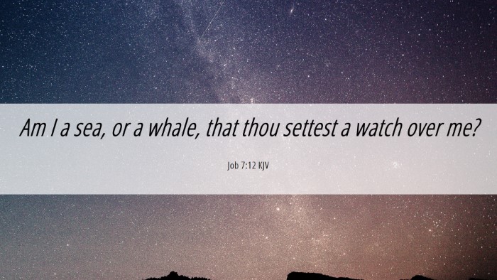 Picture 06 - Job 7:12 KJV Desktop Wallpaper - Am I a sea, or a whale, that thou settest a watch - Desktop Bible Verse Wallpaper