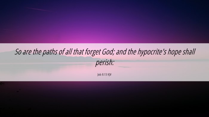 Picture 06 - Job 8:13 KJV Desktop Wallpaper - So are the paths of all that forget God; and the - Desktop Bible Verse Wallpaper