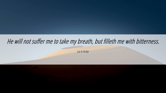 Picture 06 - Job 9:18 KJV Desktop Wallpaper - He will not suffer me to take my breath, but - Desktop Bible Verse Wallpaper