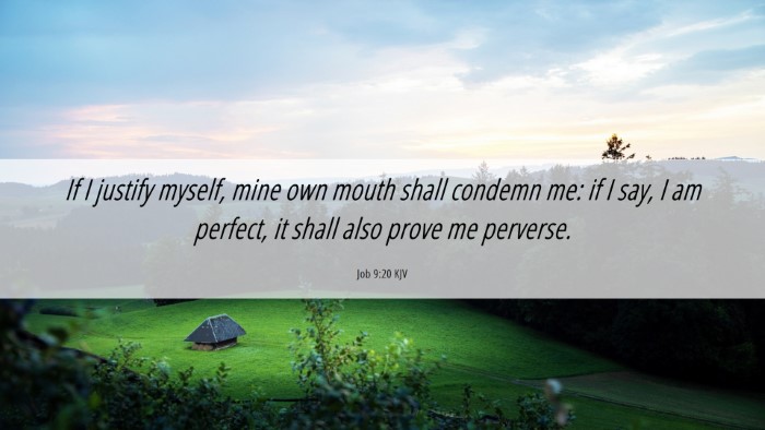 Picture 06 - Job 9:20 KJV Desktop Wallpaper - If I justify myself, mine own mouth shall condemn - Desktop Bible Verse Wallpaper
