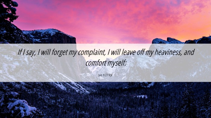 Picture 06 - Job 9:27 KJV Desktop Wallpaper - If I say, I will forget my complaint, I will - Desktop Bible Verse Wallpaper