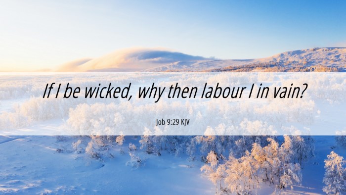 Picture 06 - Job 9:29 KJV Desktop Wallpaper - If I be wicked, why then labour I in - Desktop Bible Verse Wallpaper