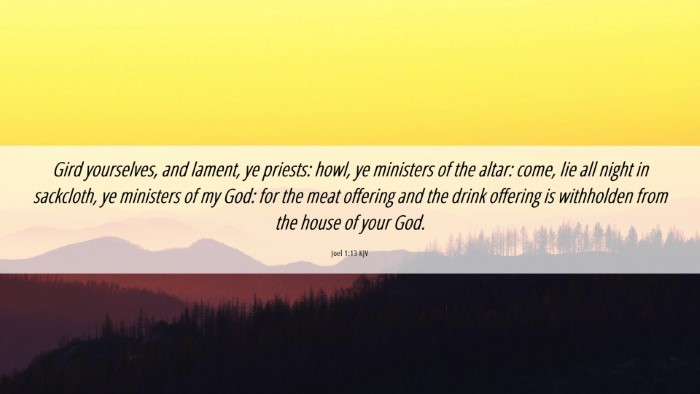 Picture 06 - Joel 1:13 KJV Desktop Wallpaper - Gird yourselves, and lament, ye priests: howl, ye - Desktop Bible Verse Wallpaper