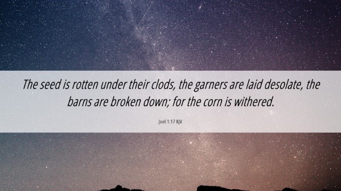 Picture 06 - Joel 1:17 KJV Desktop Wallpaper - The seed is rotten under their clods, the garners - Desktop Bible Verse Wallpaper
