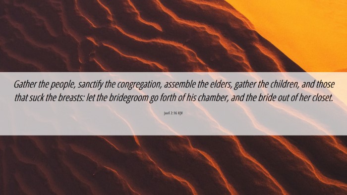 Picture 06 - Joel 2:16 KJV Desktop Wallpaper - Gather the people, sanctify the congregation, - Desktop Bible Verse Wallpaper