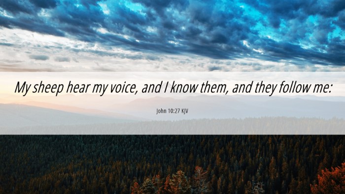 Picture 06 - John 10:27 KJV Desktop Wallpaper - My sheep hear my voice, and I know them, and they - Desktop Bible Verse Wallpaper