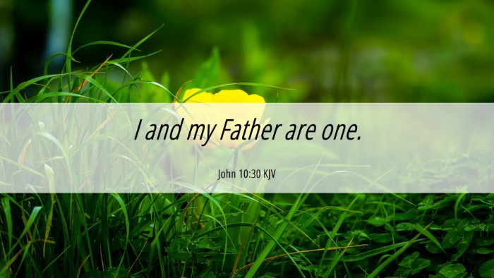 Picture 06 - John 10:30 KJV Desktop Wallpaper - I and my Father are - Desktop Bible Verse Wallpaper