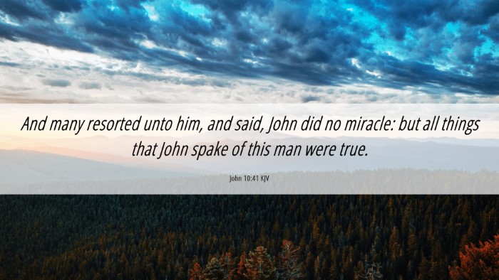Picture 06 - John 10:41 KJV Desktop Wallpaper - And many resorted unto him, and said, John did no - Desktop Bible Verse Wallpaper