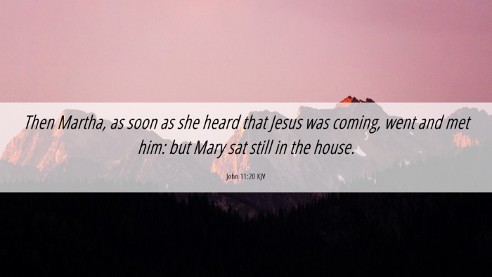 Picture 06 - John 11:20 KJV Desktop Wallpaper - Then Martha, as soon as she heard that Jesus was - Desktop Bible Verse Wallpaper