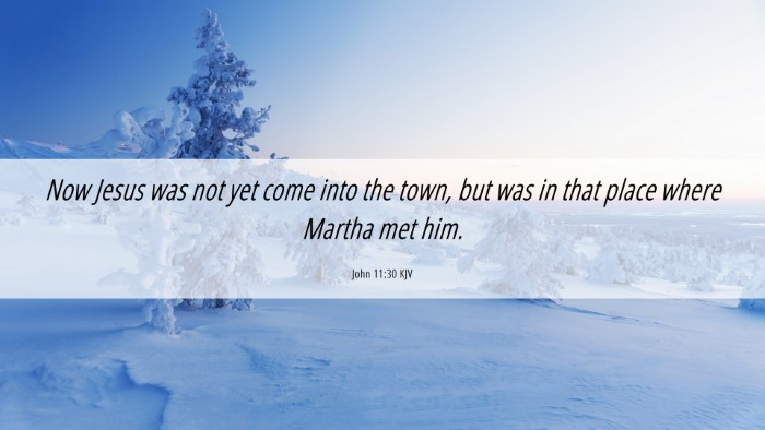 Picture 06 - John 11:30 KJV Desktop Wallpaper - Now Jesus was not yet come into the town, but was - Desktop Bible Verse Wallpaper