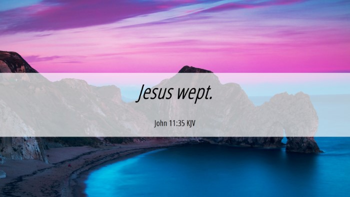 Picture 06 - John 11:35 KJV Desktop Wallpaper - Jesus - Desktop Bible Verse Wallpaper
