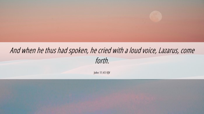 Picture 06 - John 11:43 KJV Desktop Wallpaper - And when he thus had spoken, he cried with a loud - Desktop Bible Verse Wallpaper