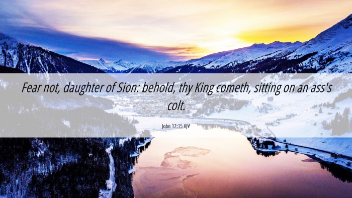 Picture 06 - John 12:15 KJV Desktop Wallpaper - Fear not, daughter of Sion: behold, thy King - Desktop Bible Verse Wallpaper