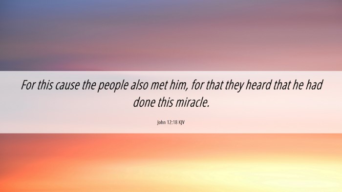 Picture 06 - John 12:18 KJV Desktop Wallpaper - For this cause the people also met him, for that - Desktop Bible Verse Wallpaper