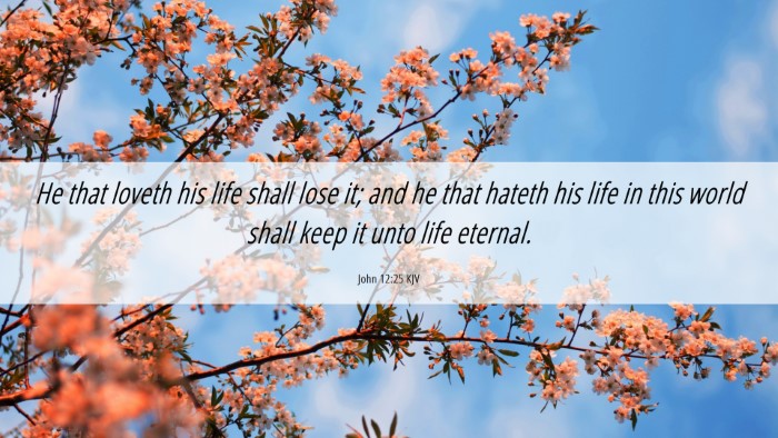 Picture 06 - John 12:25 KJV Desktop Wallpaper - He that loveth his life shall lose it; and he - Desktop Bible Verse Wallpaper